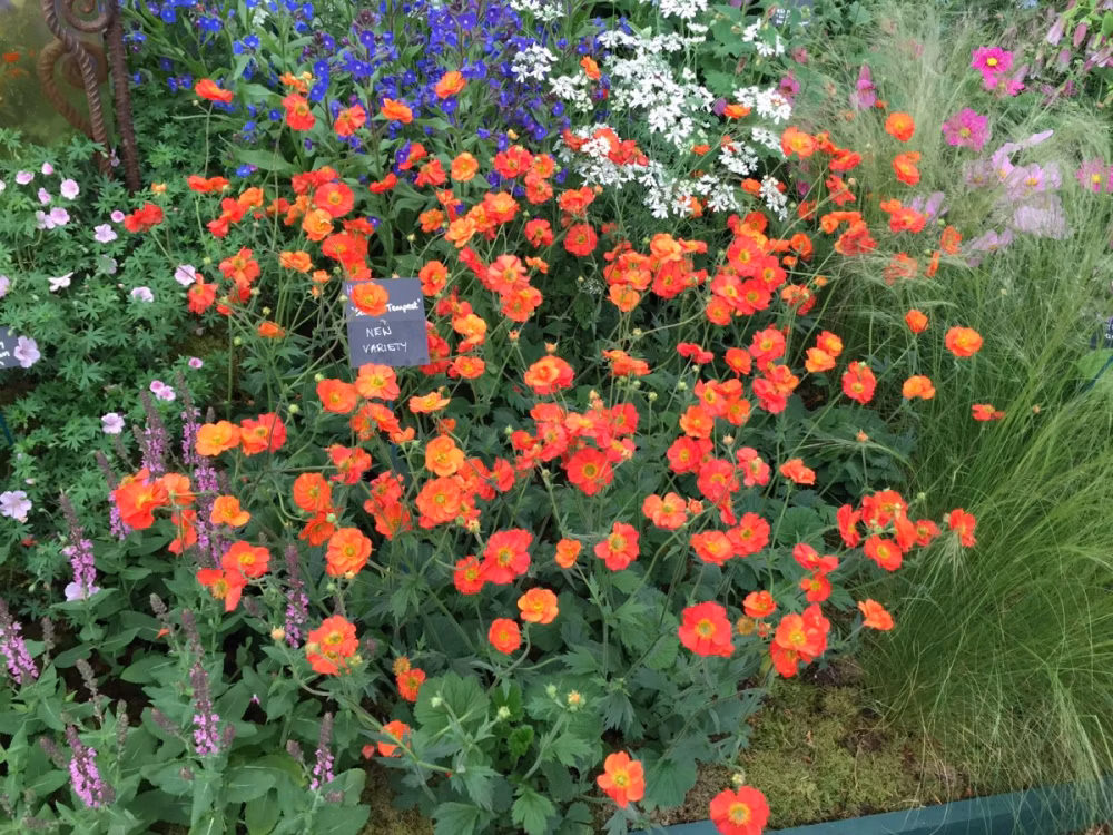 1eb1b5c26a32c5787a7bdf96204e9ebf