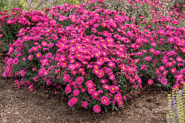 1ef1e4104ef123d79efa4c91884ac9a1