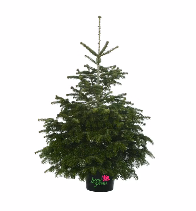 1f1aca963bb60a1f6bd500c8a31f58ce