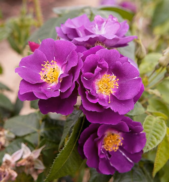 1f398ecabba77a619bd49d64e69b90b9