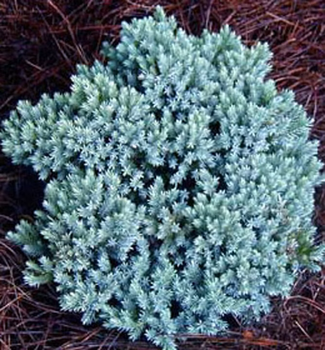 1f3b885eaf92fe4eb6c66d84fe2f4ddc