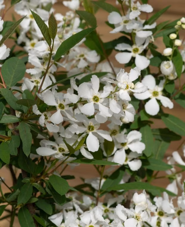 1f3d4fb7ad82a9e70a0e3685c1e32c2f