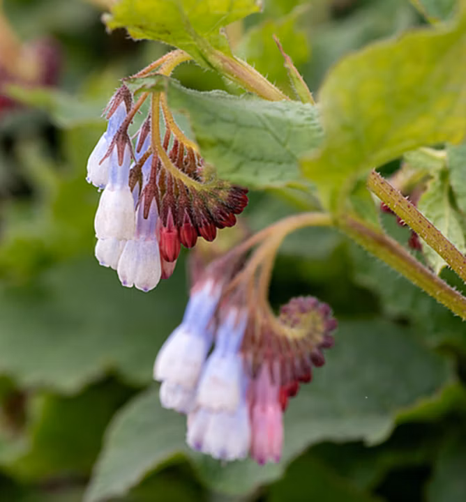 1f6d753a0f9e2f97407ff4eba5fb43ac