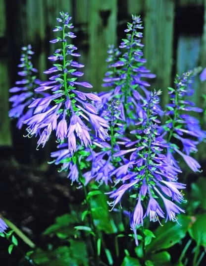 1f7f0cdfad86902c7087c67a4bd2cad5