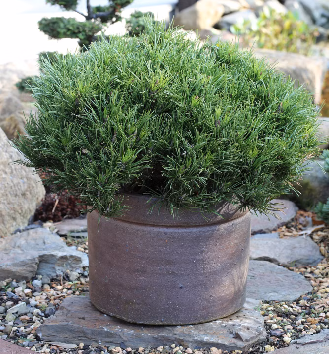 1f9097fd5d385aba137a1dd155da402c