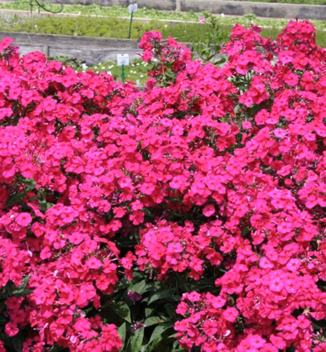 1fa8e64efa8d6789458df782f03568eb