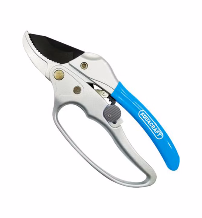 1fe686449f2cf8af6c8fba333fcc4269