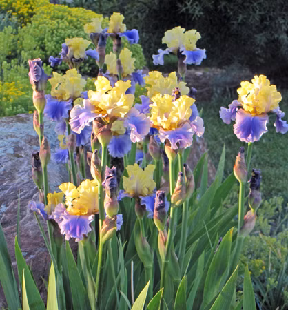 206786ad94b8cf58f32b5c19418b729d