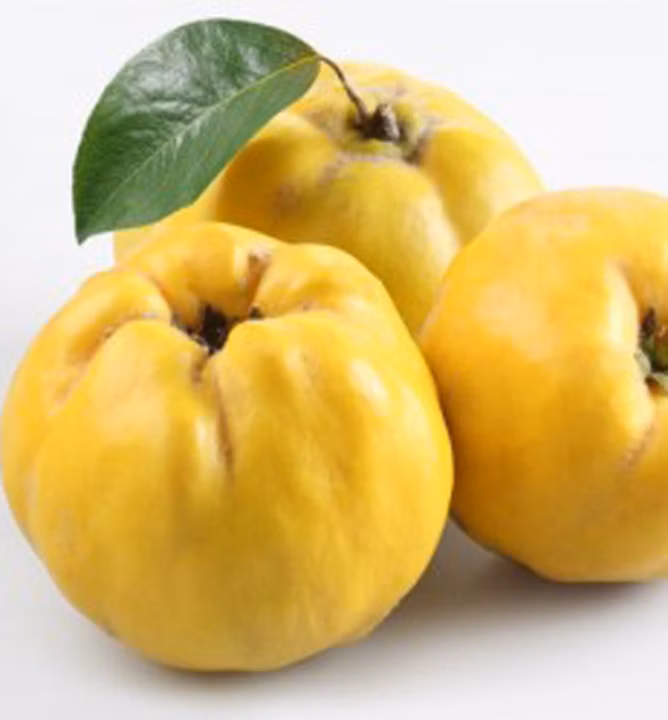 208826e96329f2bf0fbebcbcbdc45cf9