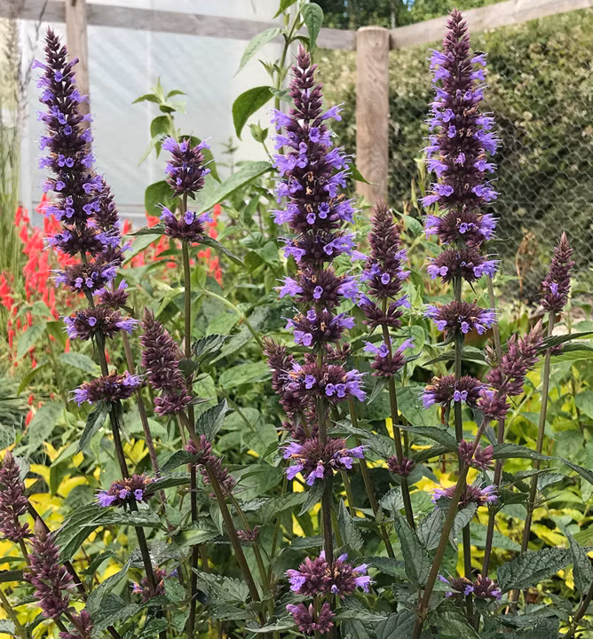 20c439923b6f454ac115181de545d39b