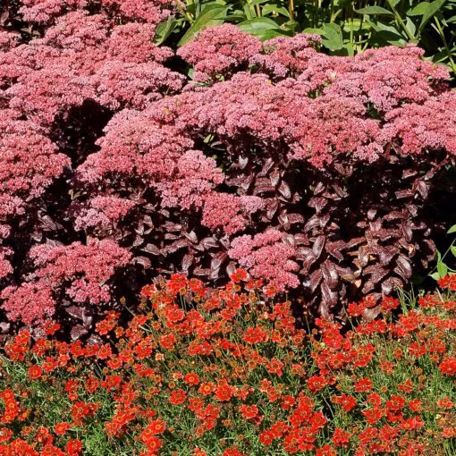 20d8c67b16b5c28515b4969e8060f011