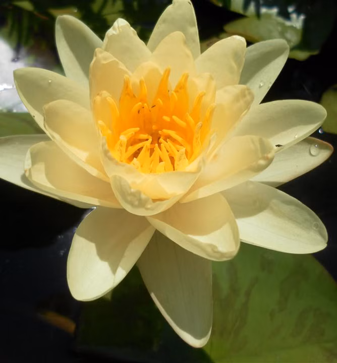 20fb9c2e5cb5e571e3984f1a427184e2