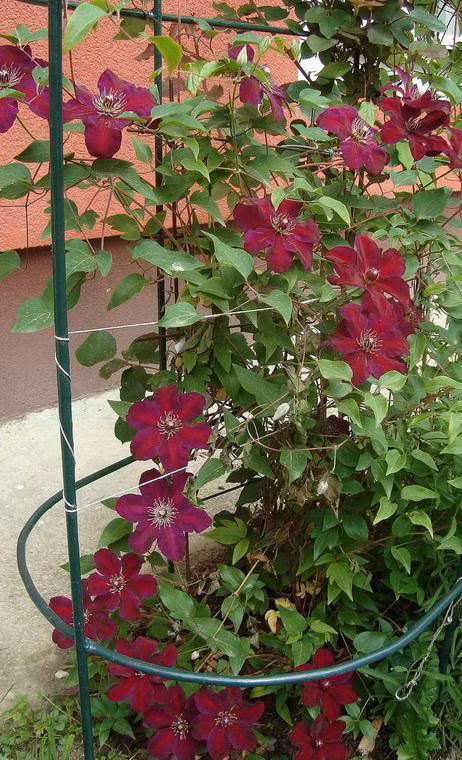 2101aed8f58b5ef4e2fa4f0fa7ada314