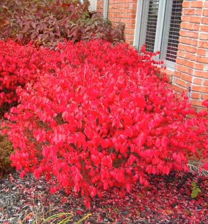 2108c203a2728f6480bcbebbca01c331