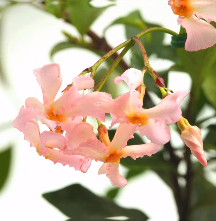 217c191bcf2dad0d072c657aa940dbe7