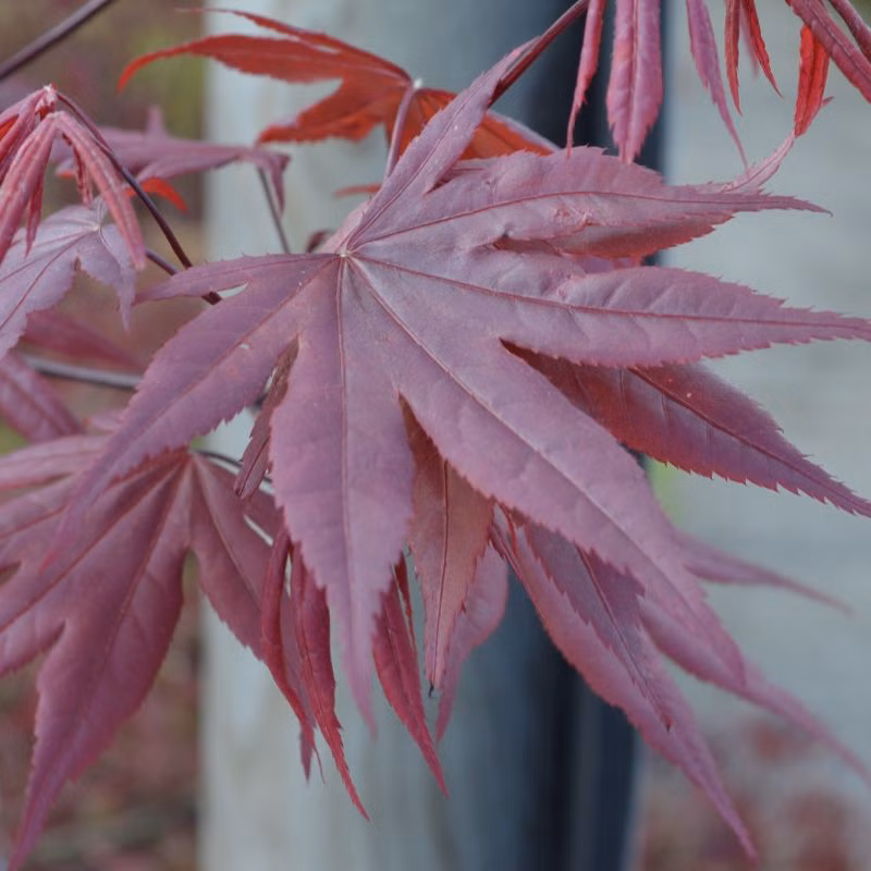 21824b623c01082cf979f5a7388d3640