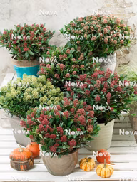 21aee9d13a8c9bdf938becbccec0f126