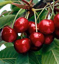 21b5b228ba0e851b4e2d9ed721b02e83