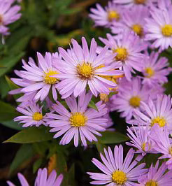 21b6b997dcf6ef3bb6b6b95eede8086c