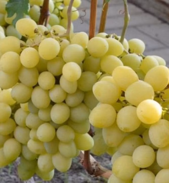 224cba7bde5ba5c19d17f3c1cbec4f70