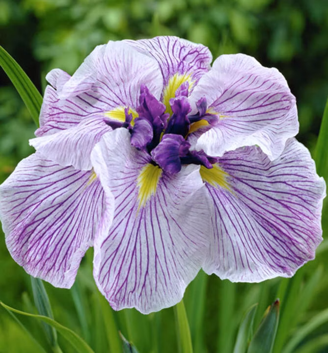 22576791012f1a68bfbac9a13113b42d