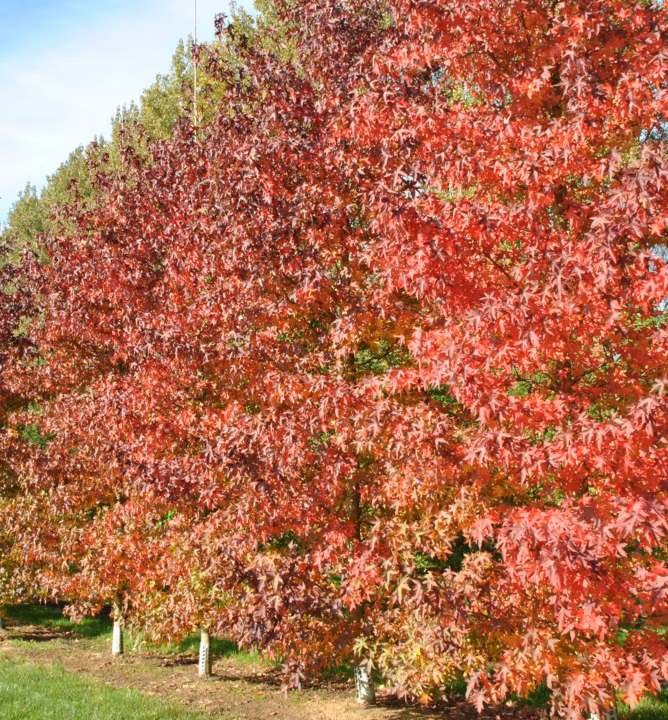 2261e469381c5bd67055fc4d120c30fb