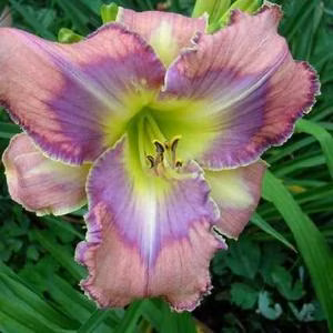 22abca2d45059f1ca637f064239d0397