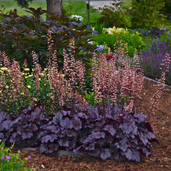 2303d83d9b467189b1392d5db3a5ac12