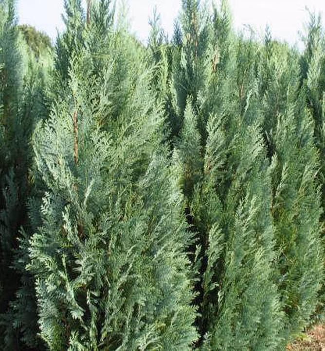 231025f7f73617d689b8aa02fef31a69