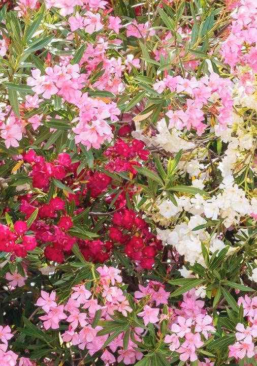 2316d3f636920a2165c23ce2d452b97e