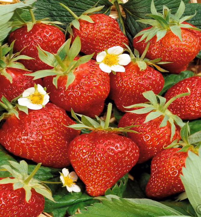 234c38b45f0ccf978e80d939bb05d6ea