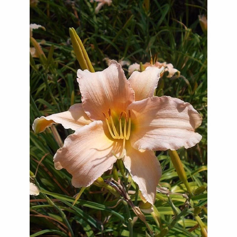 2370cfbb1f16f6248696ee8c83890d91