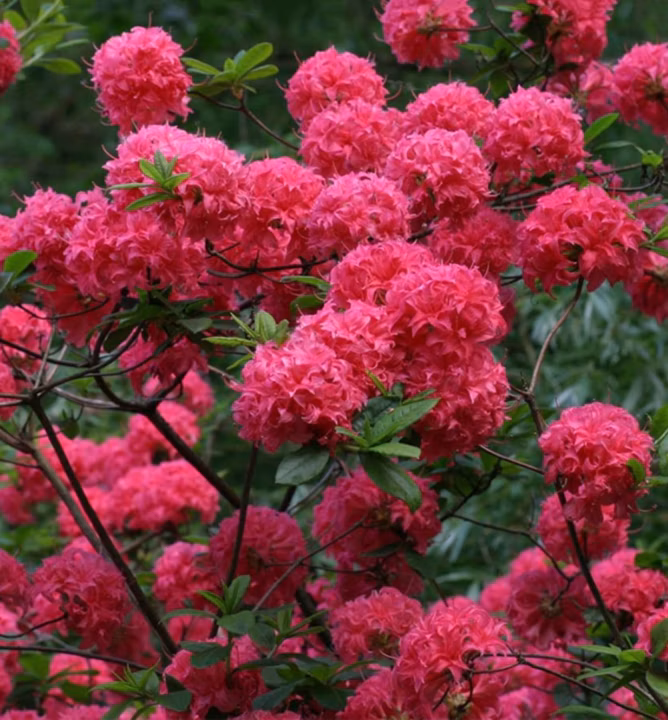 237449c2e7c8a31ea2e1fdfc60747f00