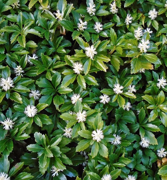 2393f94834804844495e9777bd8c4f09