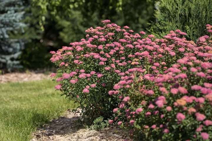 23cd7484e83d3ef49fd60fc9d00c65ee