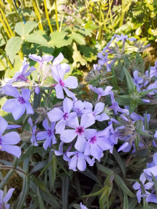 23d02cfec9136a1d23d449f5ecd12ec6