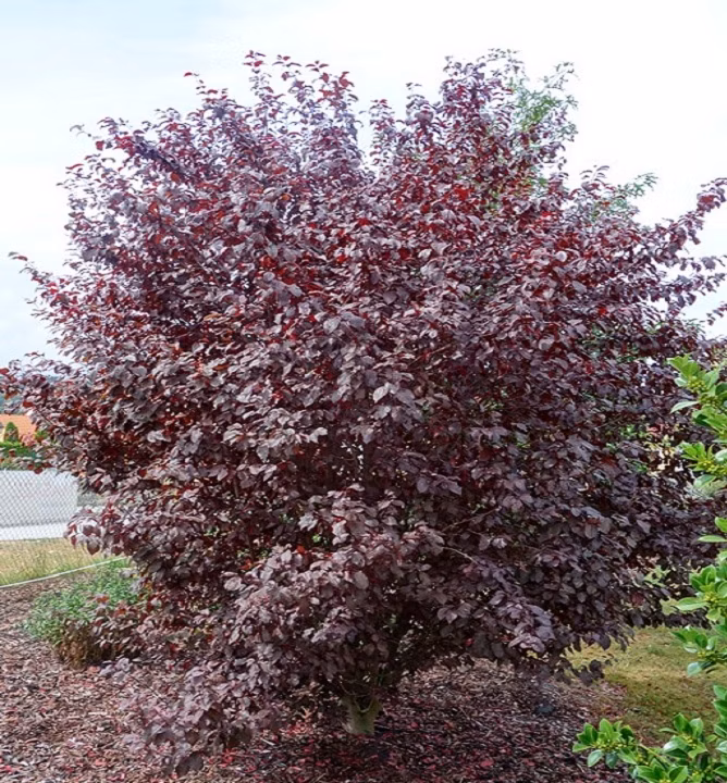 23ff8ea89327d8aff1540c0d25ef0de0