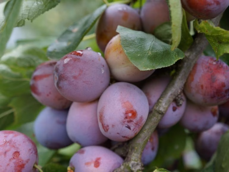 2400ef23723a8d348583f3f8cf556456