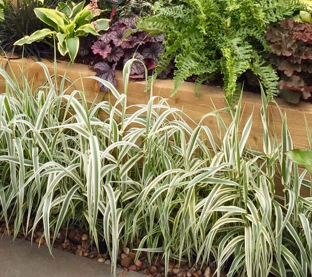 2447afe9883993f3d9307812b50cfa2e