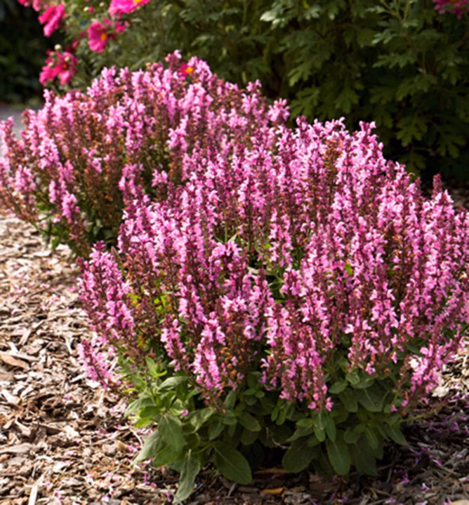 245674c6adbf78c7aa2fe5b6763e2d22