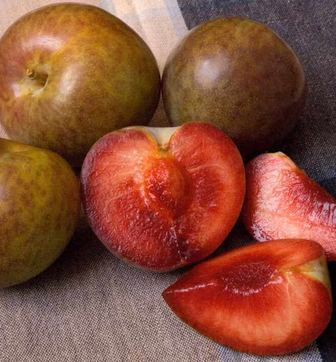 2482cc7c09713a62b166238f9da99add