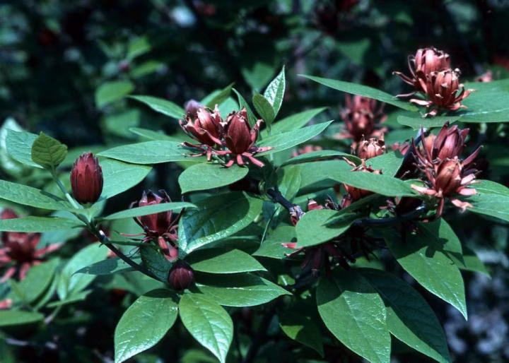 249d71ef8ed90eaf31b677c16a87ba3d