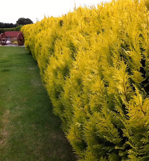 24a62797467aeef823f824405858b09b