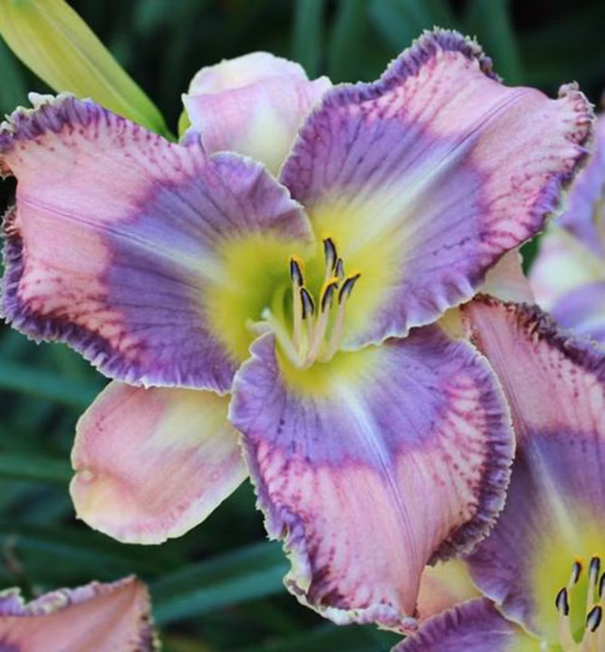 254319fda1311c3d6755f30b82c2062a