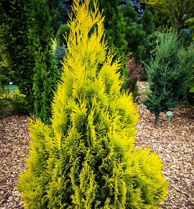 257b7a66b816cbfc9d3b097955fa53f1