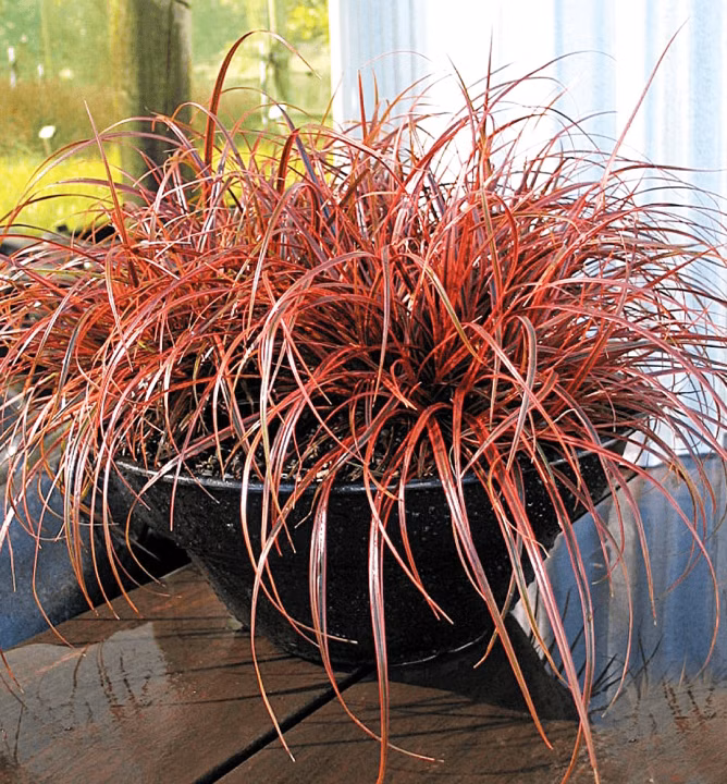 257efd8ddbccbc971114121b2eb1e847