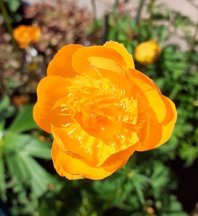 258ab663360ca90df62222714c2ef35c