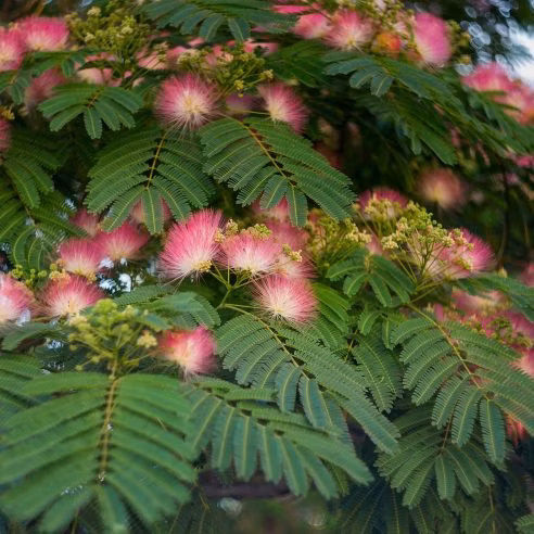 2596280cbdd996dfa071b339b013e225