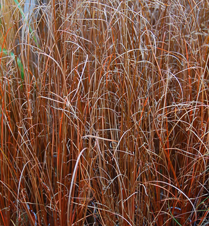 25a50167bf832202b45bd68aa08d287b