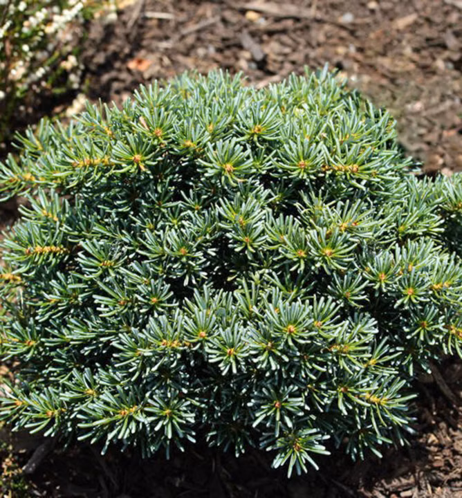 25a82ee8fb8b748bfe5353c526823187